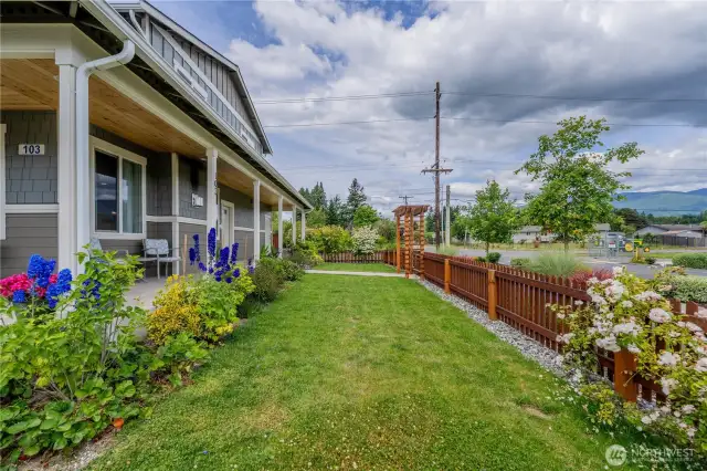 This is the side yard.
