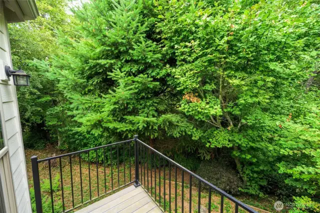 Looking from the primary bedroom deck into the green space.