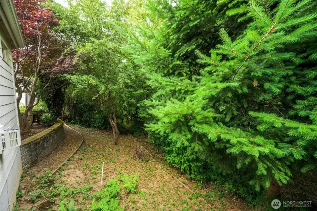 Green space with a creek just beyond.