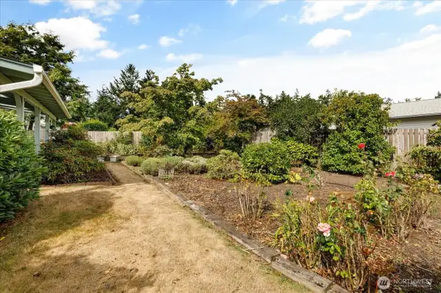 Back yard/garden