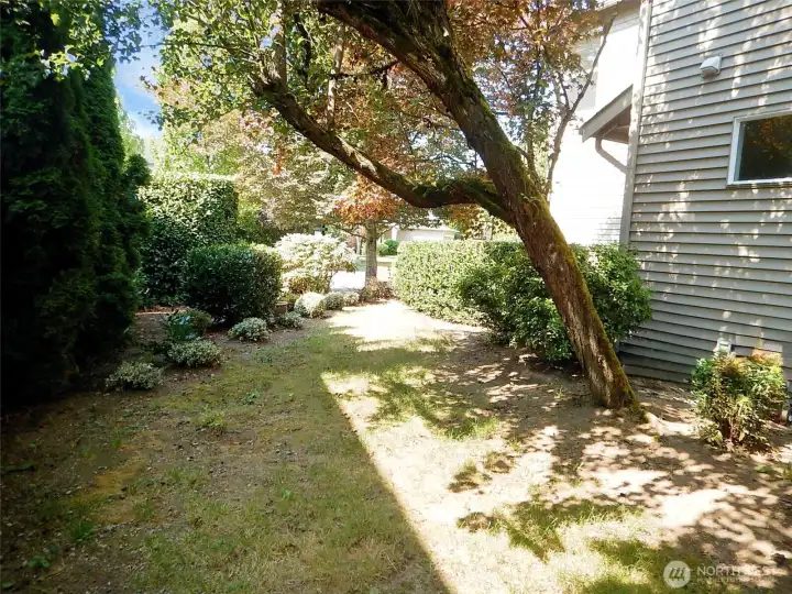 back of front yard to street