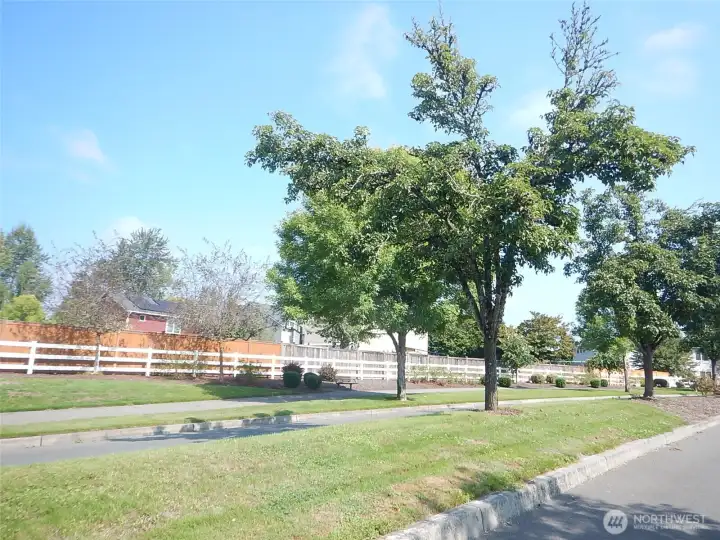 Wide boulevards with pathways encircling the neighborhood