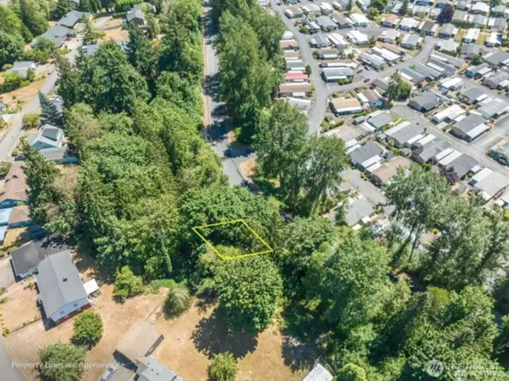 Aerial Surrounding Neighbors