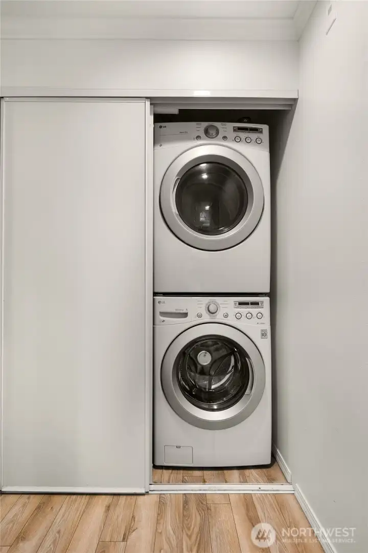In-Unit full size washer and dryer with utility closet next to it. Custom lighting installed inside.