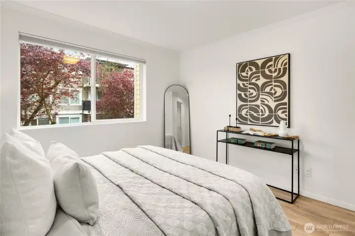 North facing window with the ultimate privacy.