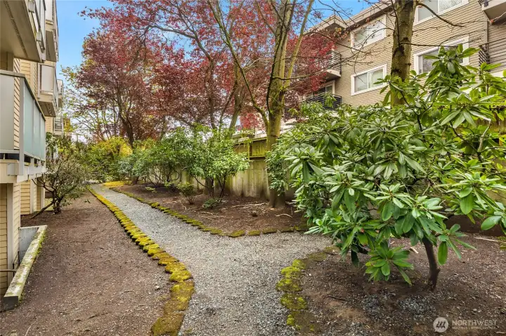 Back fenced green space for your furry friends or tranquil moment.