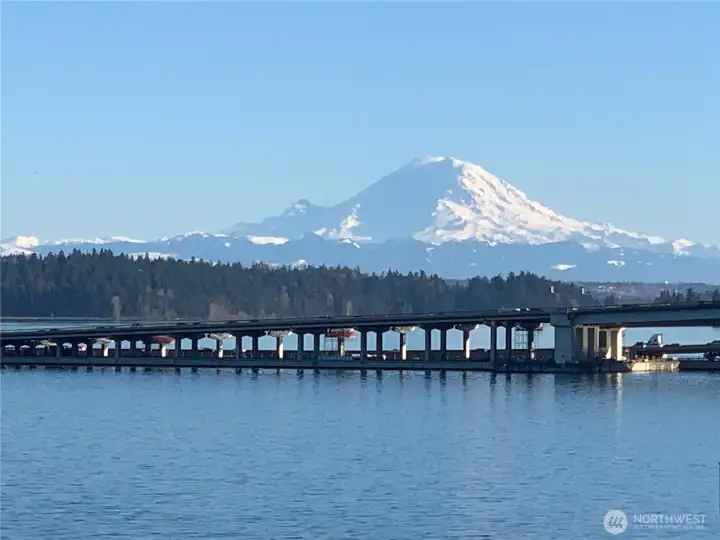 Wow! Enjoy unobstructed views of glorious Mt. Rainier...up close and personal. The location of this townhome is superb...just 3 blocks to Leschi, and no noise from I-90!