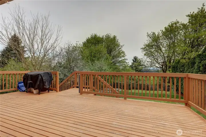 Large Entertainment Deck