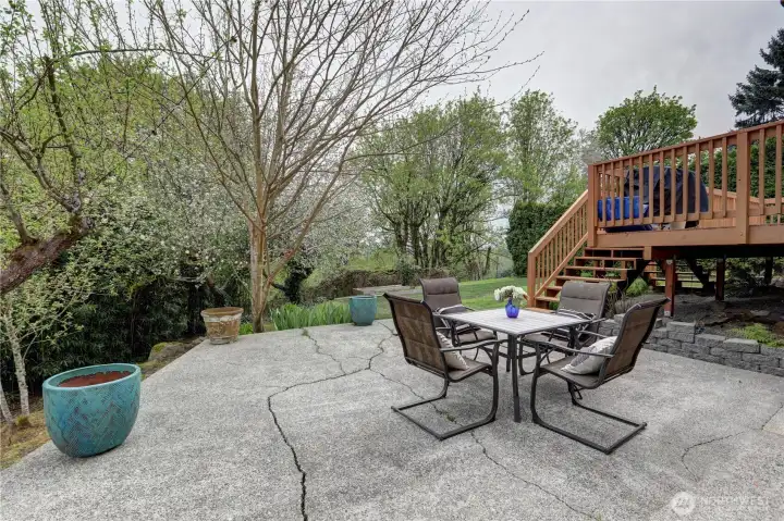 Patio off Daylight basement