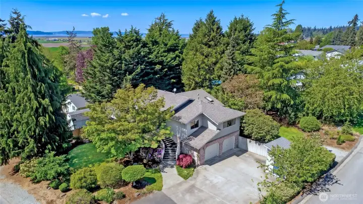 Massive Parking and Established, Privacy-Protecting Yard~