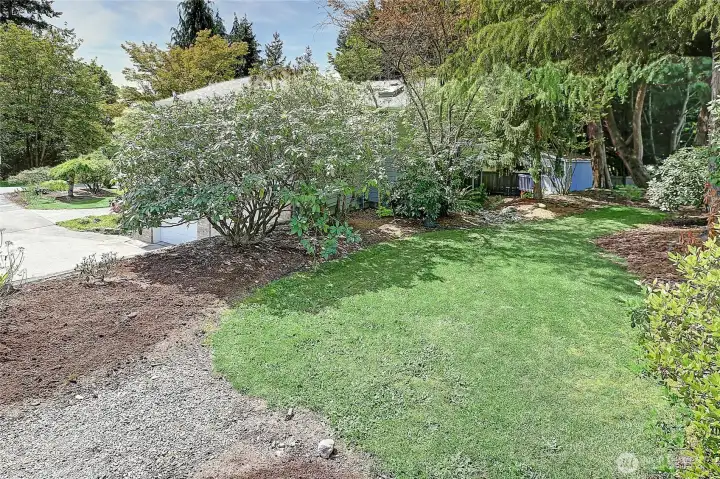 Mature Landscaping~