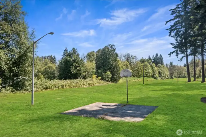 Community park