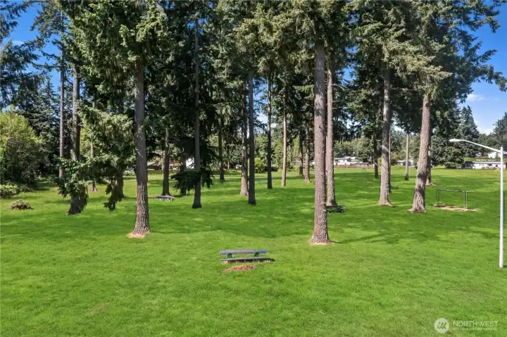 community park