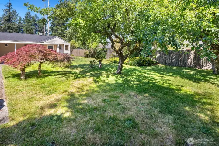 Lush backyard with mature plantings is the perfect oasis for a summer picnic or swingset!