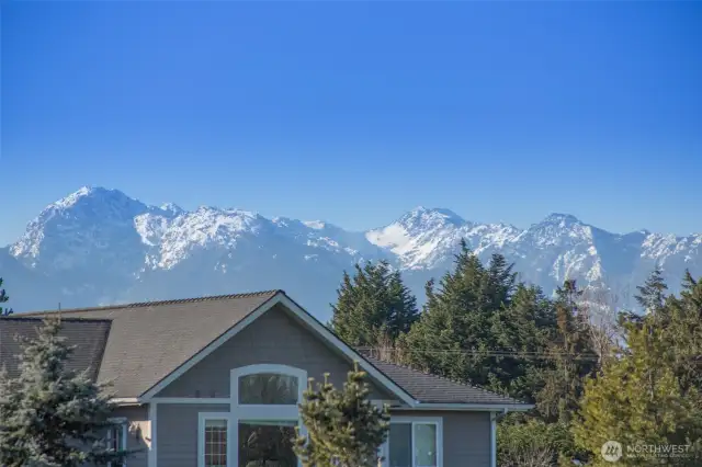 Olympic Mountain views to the south.