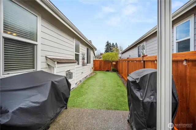 New fence, turf grass for minimum maintenance