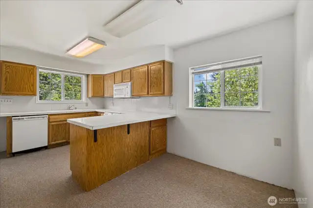 View of the kitchen from the living room