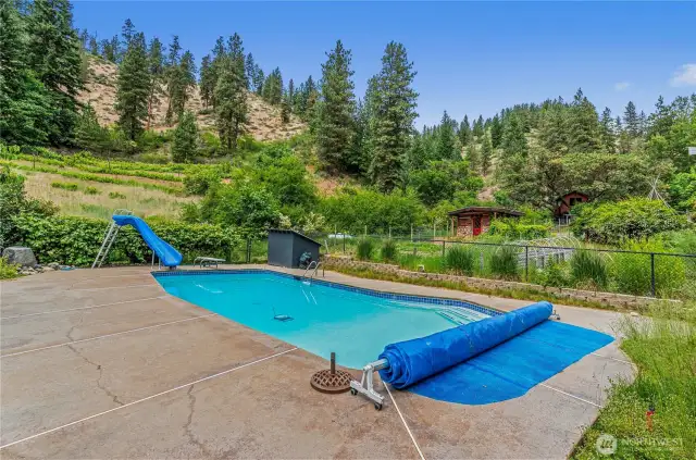 Splash, slide, and soak in the sunshine, framed by forested hills and garden paths, the ultimate backyard escape for summer fun, relaxation, and memory-making under the open sky.