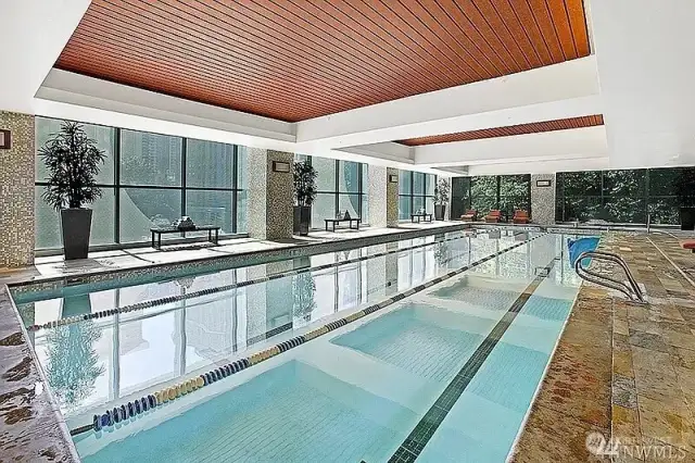 Olympic size saline pool