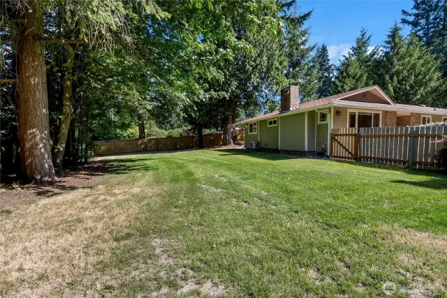 Sprawling back yard