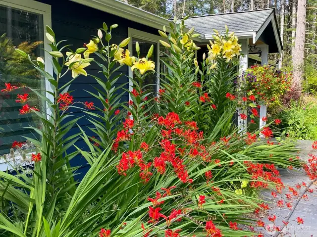 The garden is a work of art and will be a gift year after year!