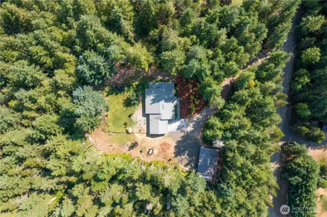Room to expand your cleared area if you want, the ability to leave it be if you want. 4.9 acres that’s all yours.