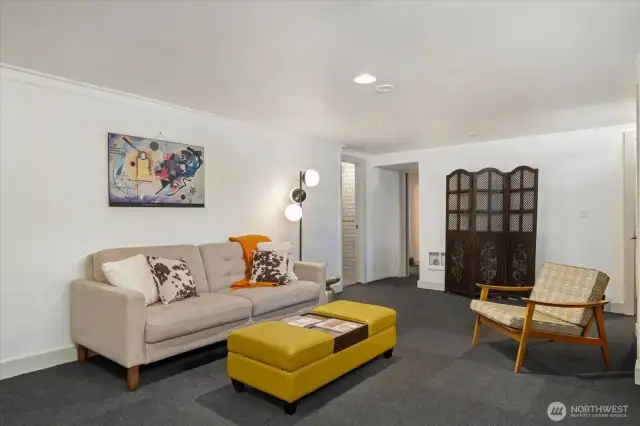 Basement living/media space