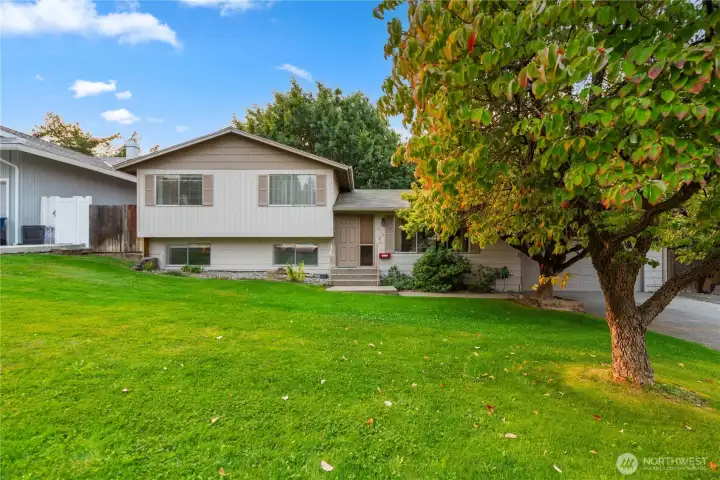 Spacious yard enjoys big shade trees front and back