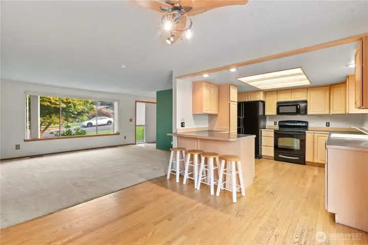 Kitchen to living
