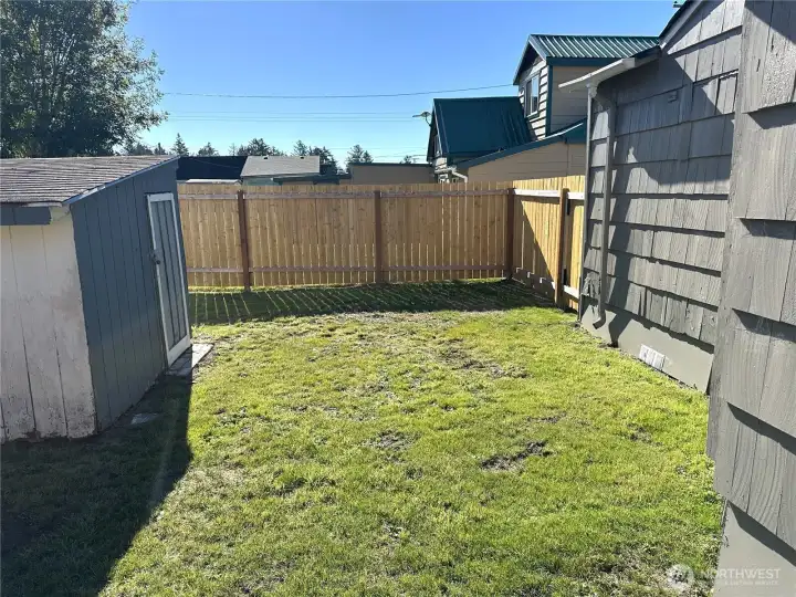 Back yard.