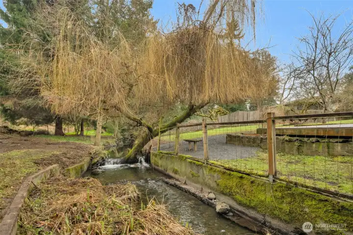 Wildlife this home enjoys: Otters, salmon, great blue herons, bald eagles, hawks, crawfish, bunnies and friendly crows.