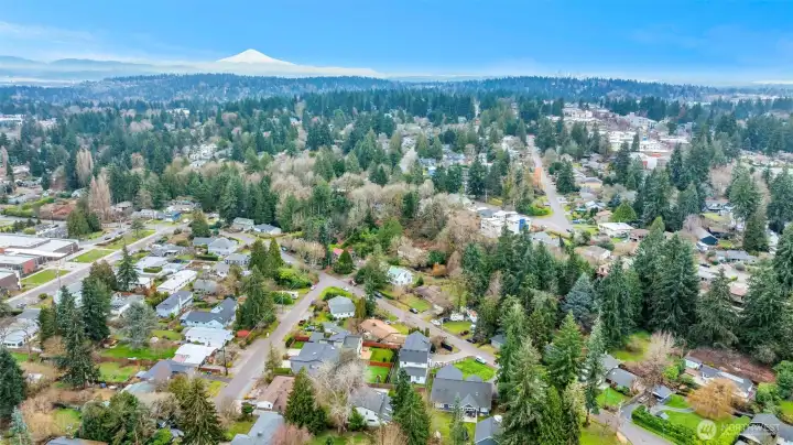 Your view of Mt. Rainier from a drone's point of view