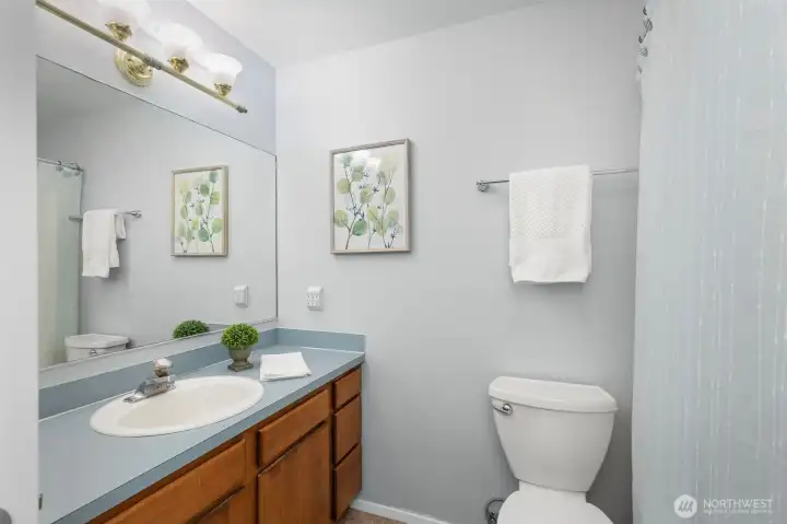 Full guest bathroom