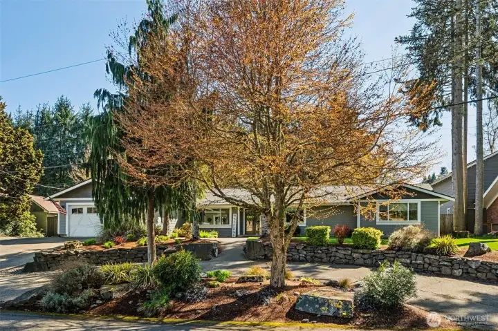 The full circular driveway wraps cleanly around a wedge-shaped landscape island anchored by a beautiful maple and layered plantings, creating a natural centerpiece as you arrive. Behind it, the drive continues in a smooth loop, framed by stacked stone retaining walls that give the whole approach structure and presence. It’s not just attractive, it’s incredibly functional. Circular drives are a rare find in this area, and when you pair that with a one story home, it becomes even more valuable. Guests can be dropped off right at the walkway, multiple access points make movement easy, and everyday comings and goings feel effortless.
