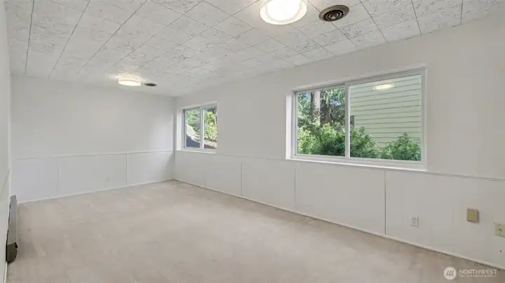 Lower level 4th bedroom