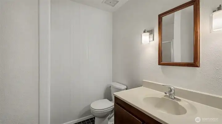 Lower level bathroom with shower