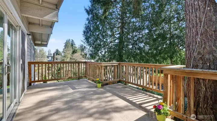 Upper level deck with access to side patio
