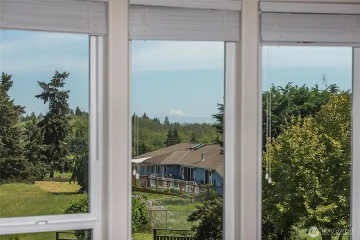 Direct Views of Mt Baker