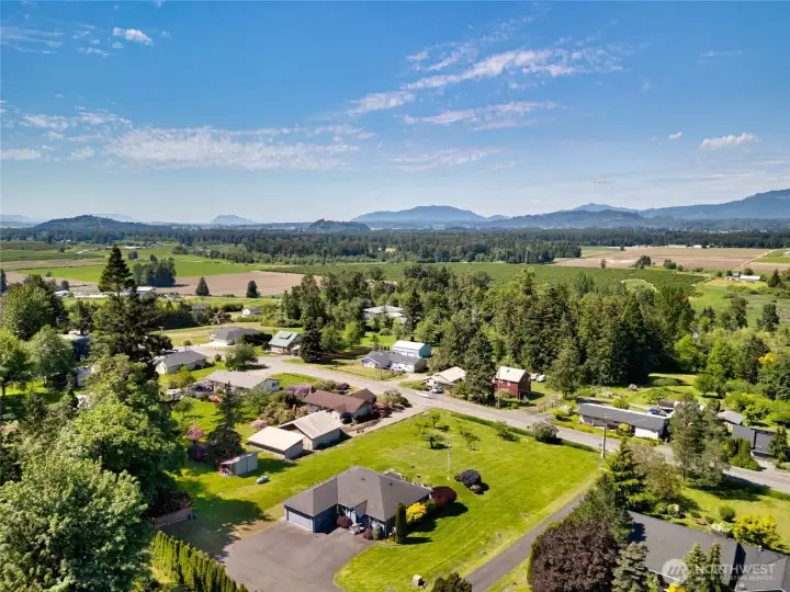 Spacious one acre lot! Spacious one acre lot!
