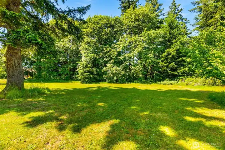 Open space nearby