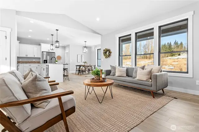 Light filled living room