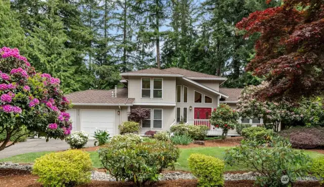 Gorgeous NW contemporary charmer