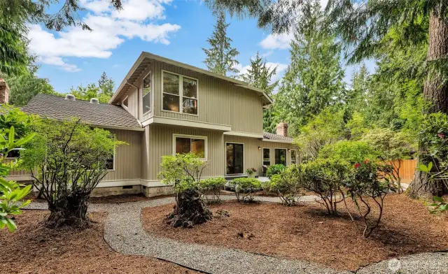 Backyard offers wooded beauty sprinkled throughout with splashes of color from native plants