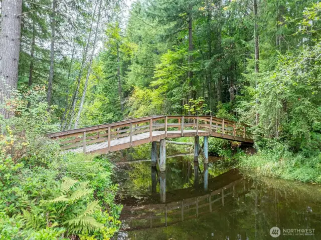 Bridges to access Trails on other side of lake