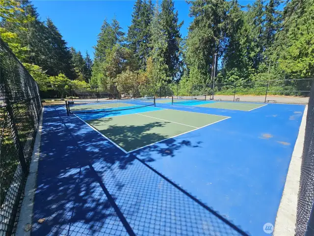 Pickleball Court