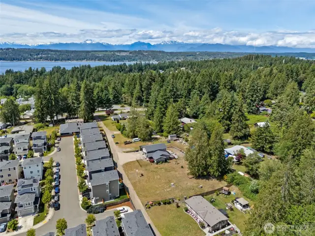 Neighborhood view highlights stunning scenery w/ Dyes Inlet in the distance & the Olympic Mountains as a dramatic backdrop—beauty & tranquility in every direction.