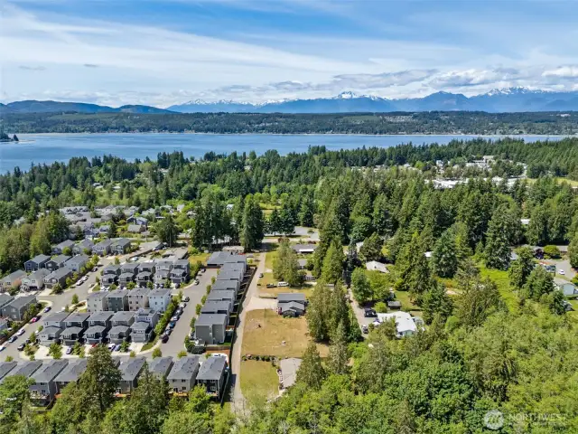 Neighborhood view highlights stunning scenery w/ Dyes Inlet in the distance & the Olympic Mountains as a dramatic backdrop—beauty & tranquility in every direction.