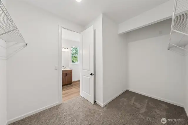 Actual house photos!