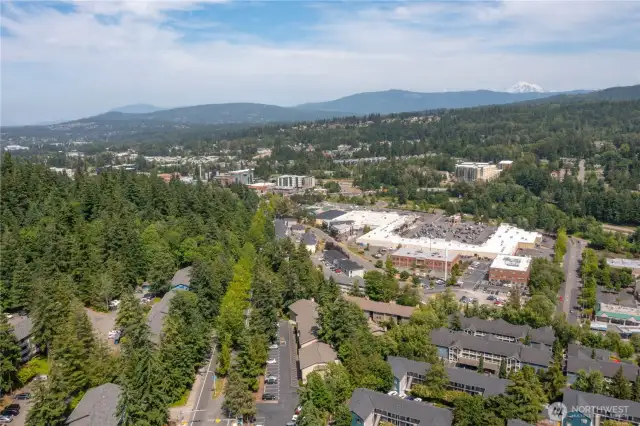 Just minutes to Sehome Village packed with restaurants, Haggen for grocery shopping, REI, and more!