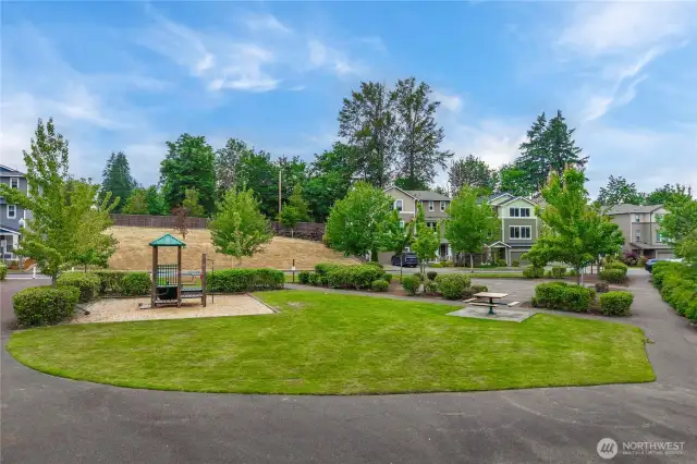 Park In Front of the House